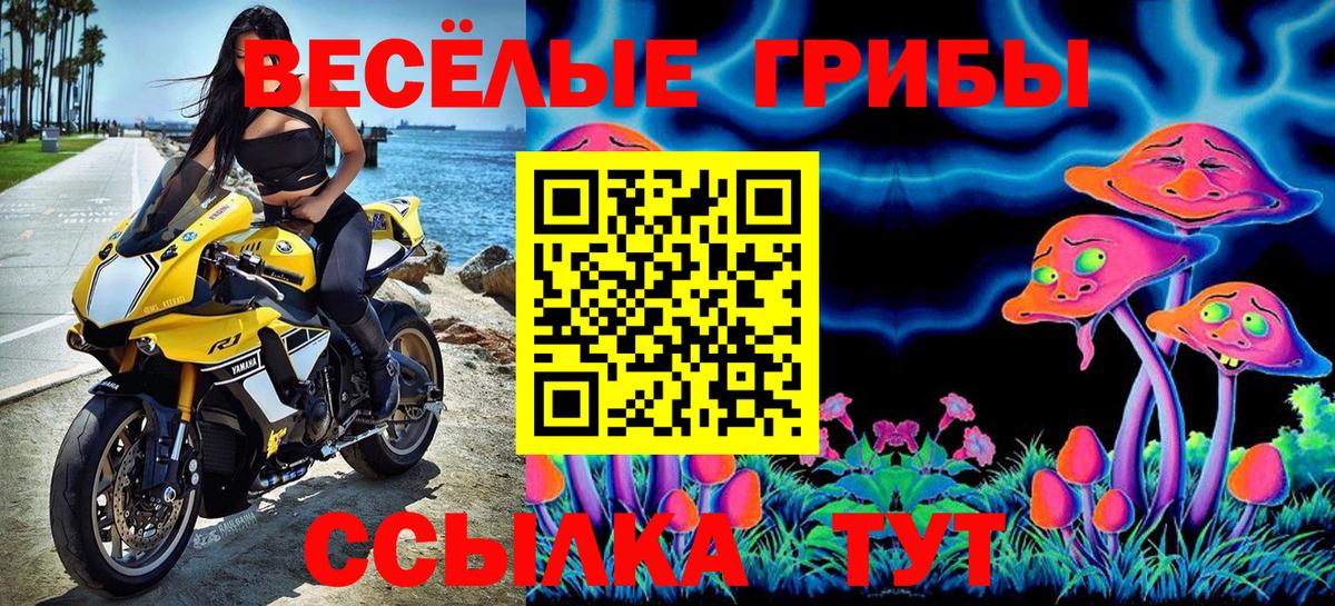 Галлюциногенные грибы прущие грибы  купить закладку  Каменск-Шахтинский  Вход с VPN  Галлюциногенные грибы MAGIC MUSHROOMS 