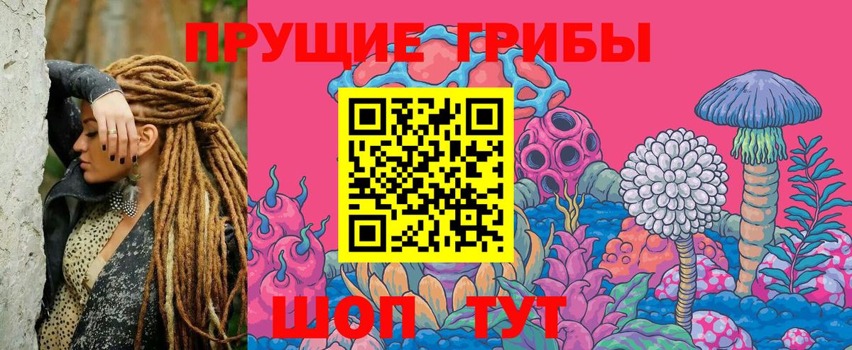 Галлюциногенные грибы ЛСД Каменск-Шахтинский